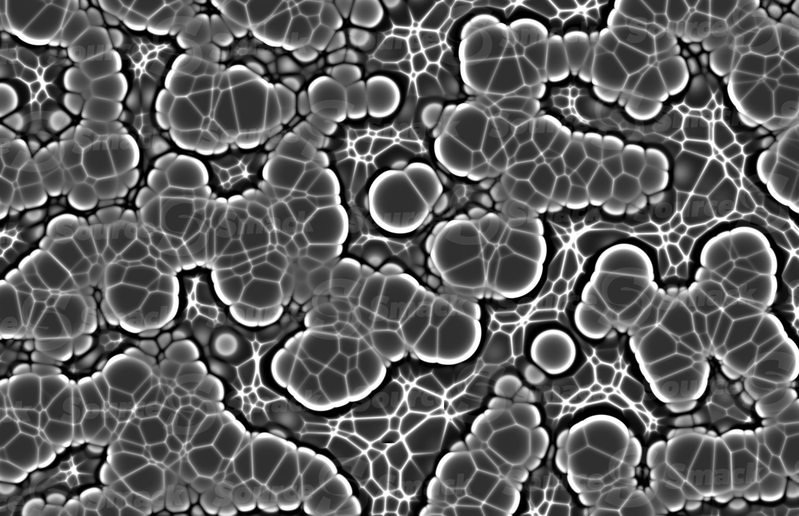 A microscopic cluster of jelly organisms