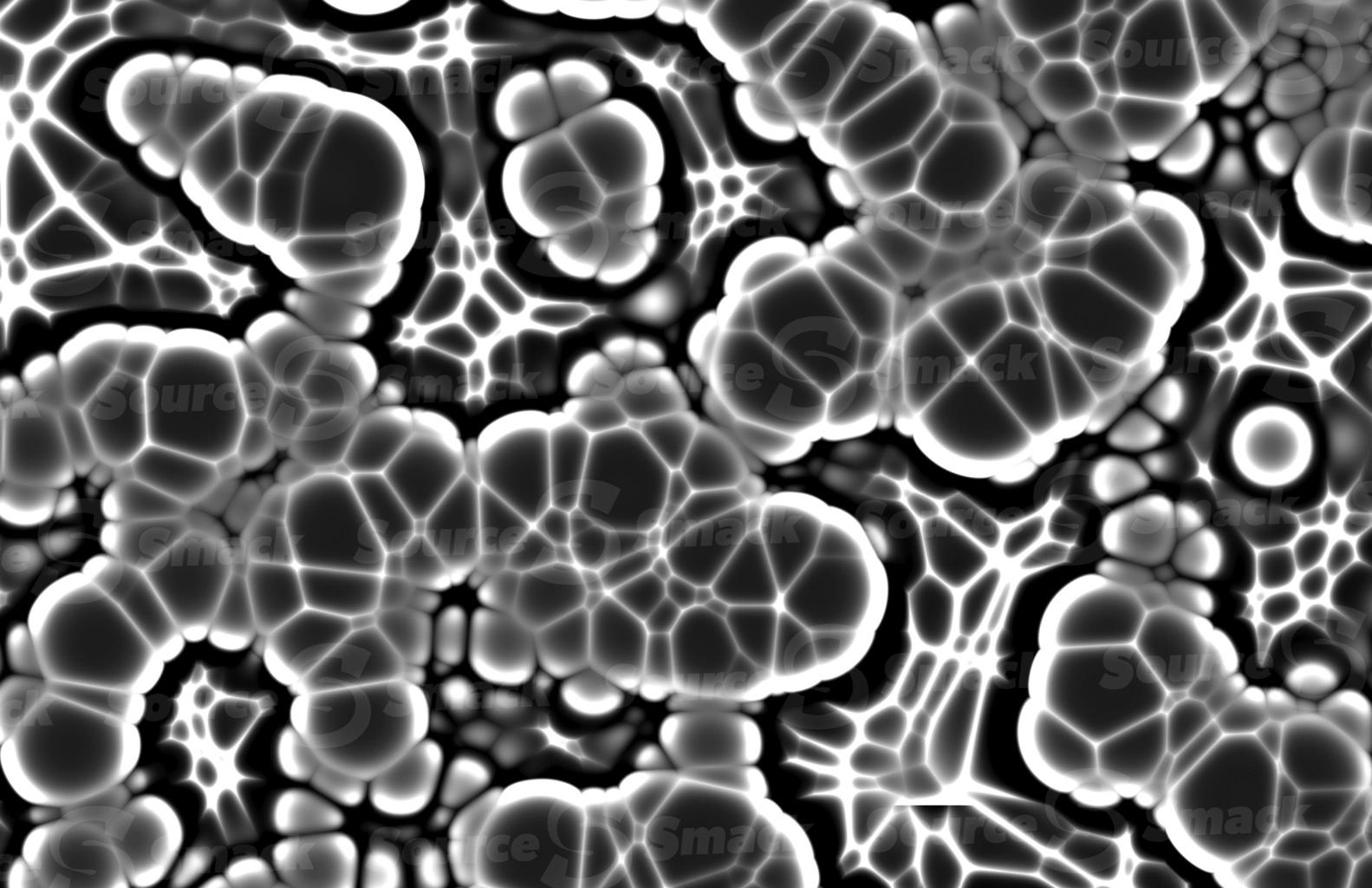 A microscopic cluster of jelly organisms