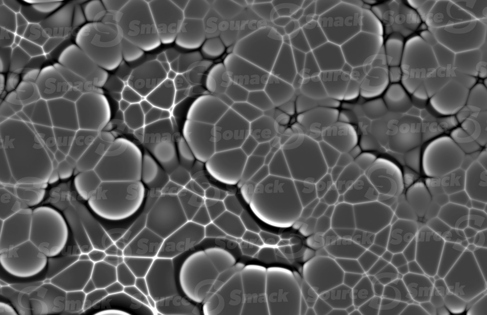 A microscopic cluster of jelly organisms