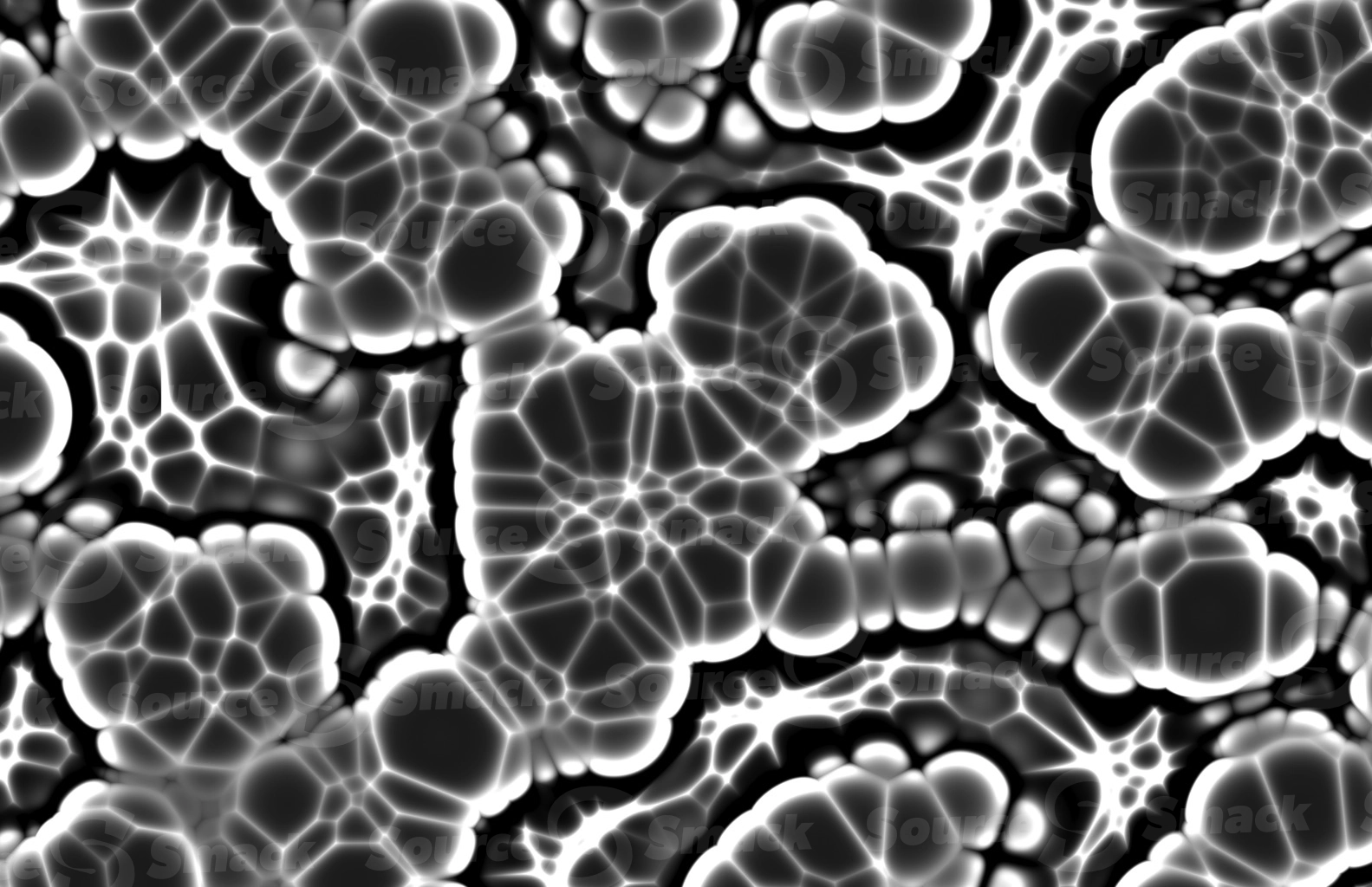 A microscopic cluster of jelly organisms