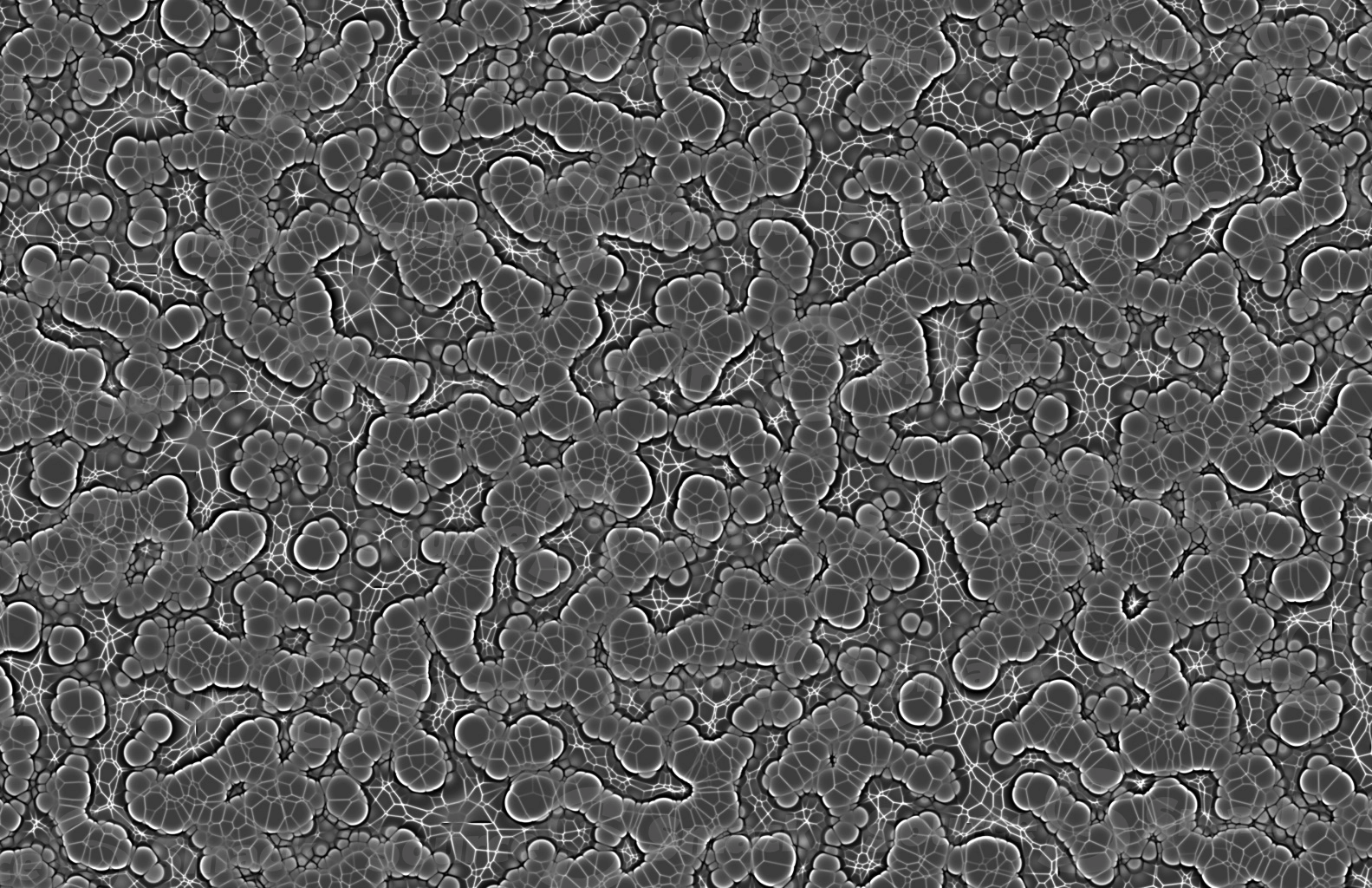 A microscopic cluster of jelly organisms