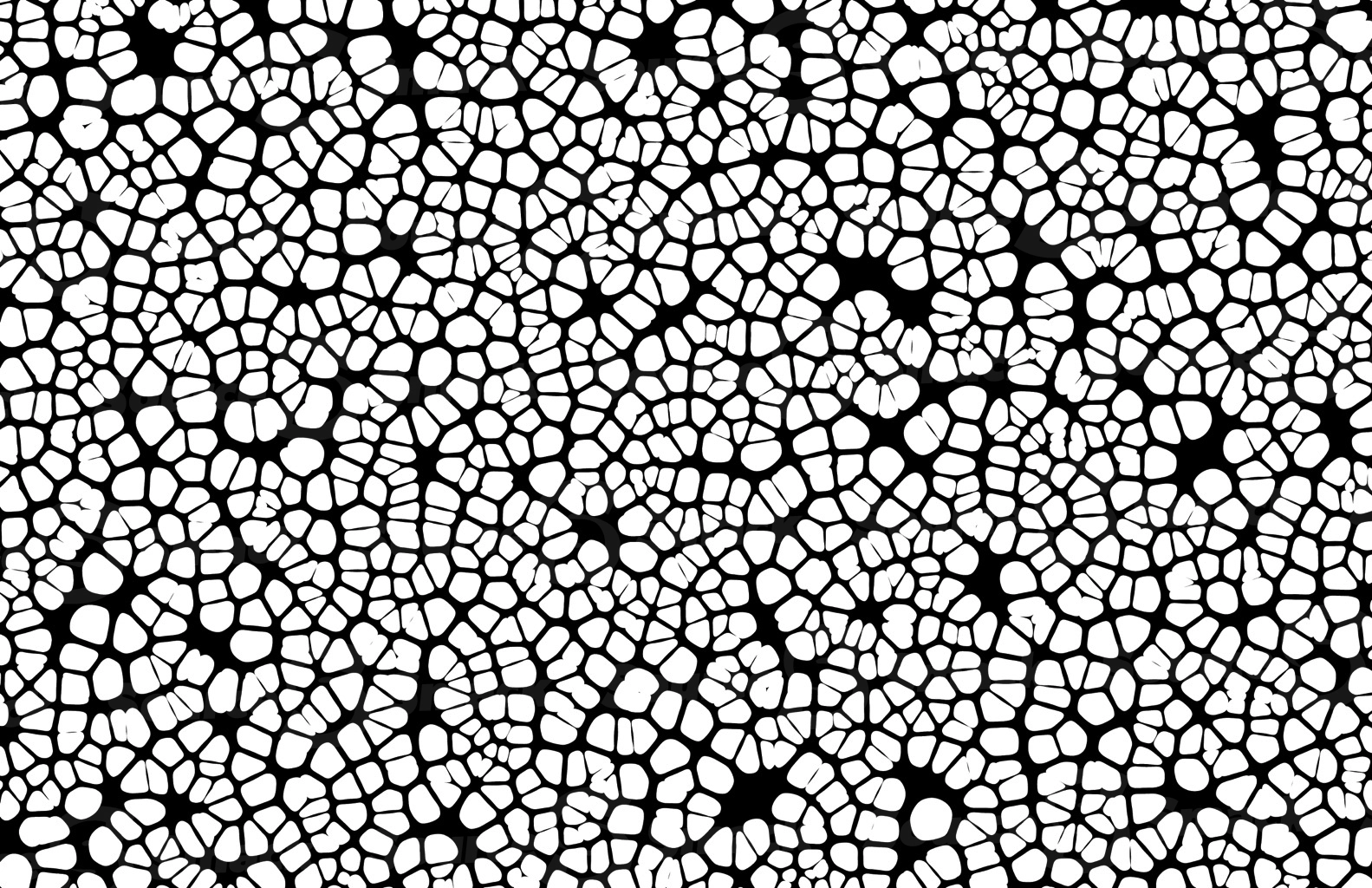 A combination of blips and blobs in a black and white background