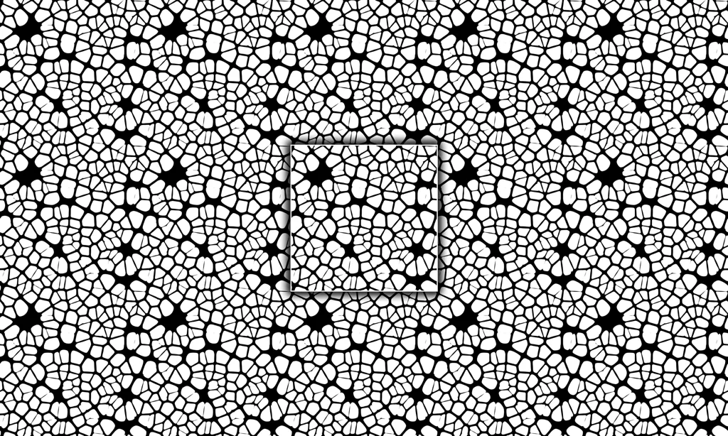 A black and white pebble scaled tile
