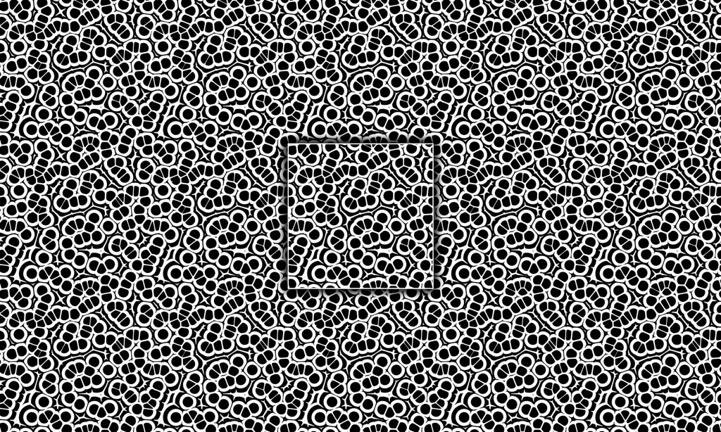 A cluster of black cellular jelly blobs