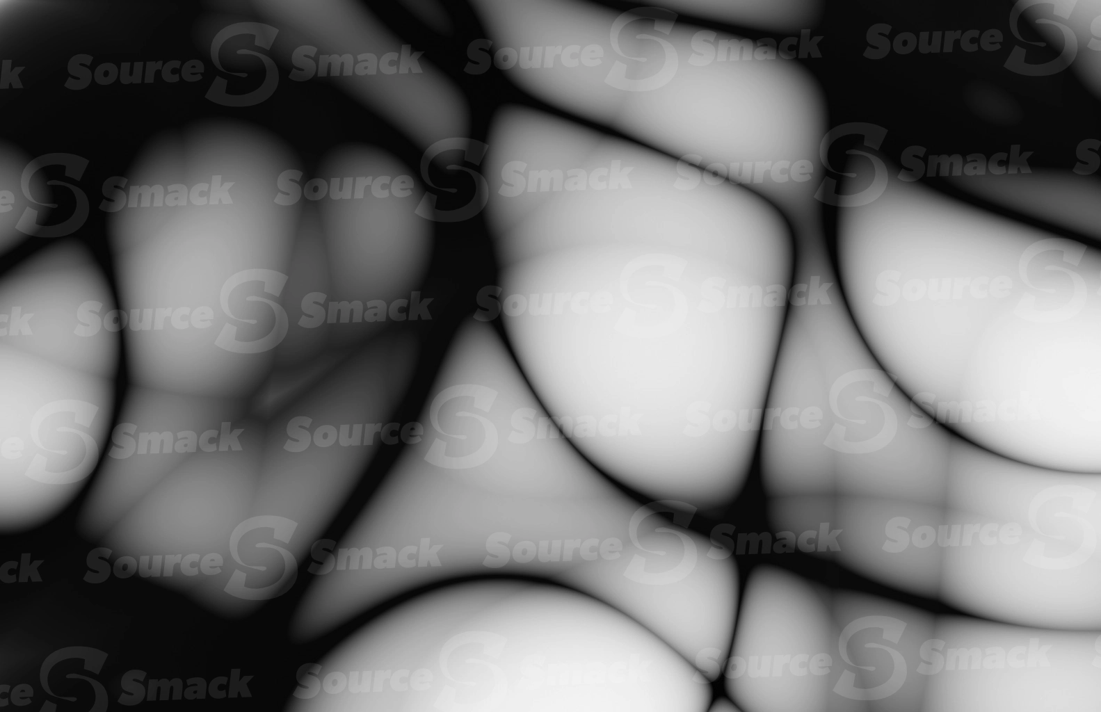 An overly smooth web-like tissue of porous slime as a overlay template
