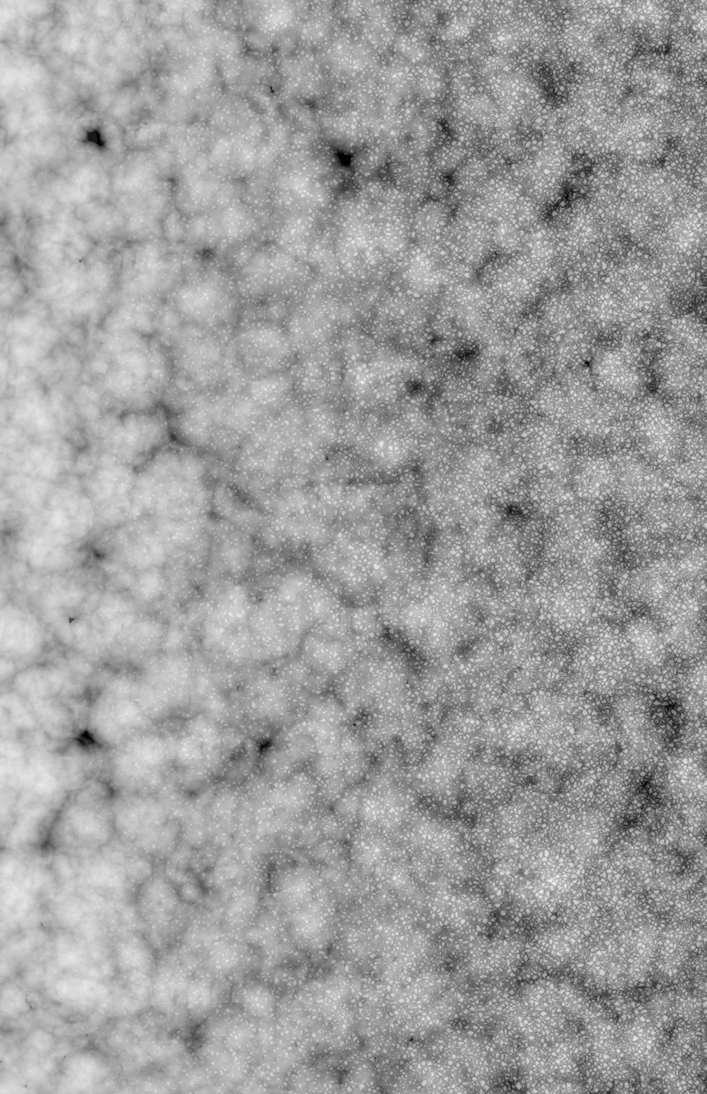 An organic micro beaded texture as a overlay template