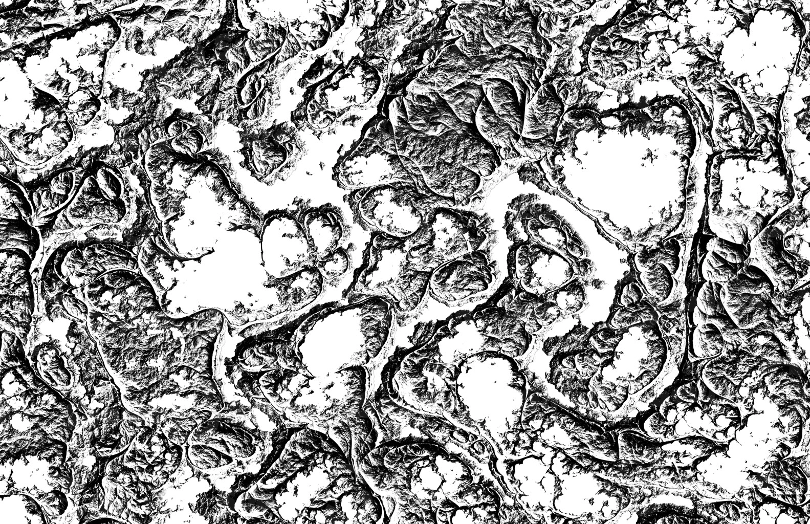 A grainy creepy organic texture as a overlay template