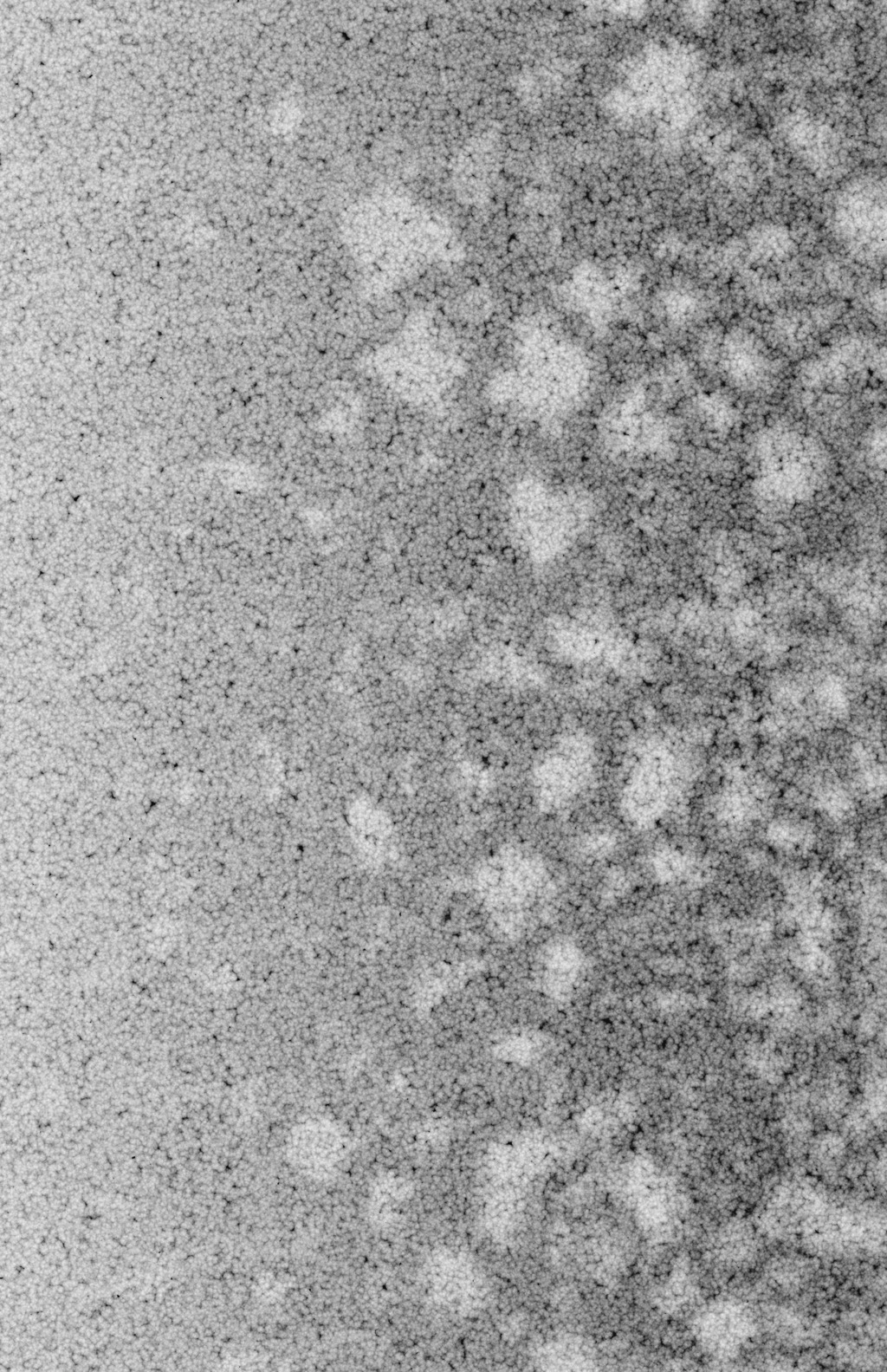 An organic micro beaded texture as a overlay template