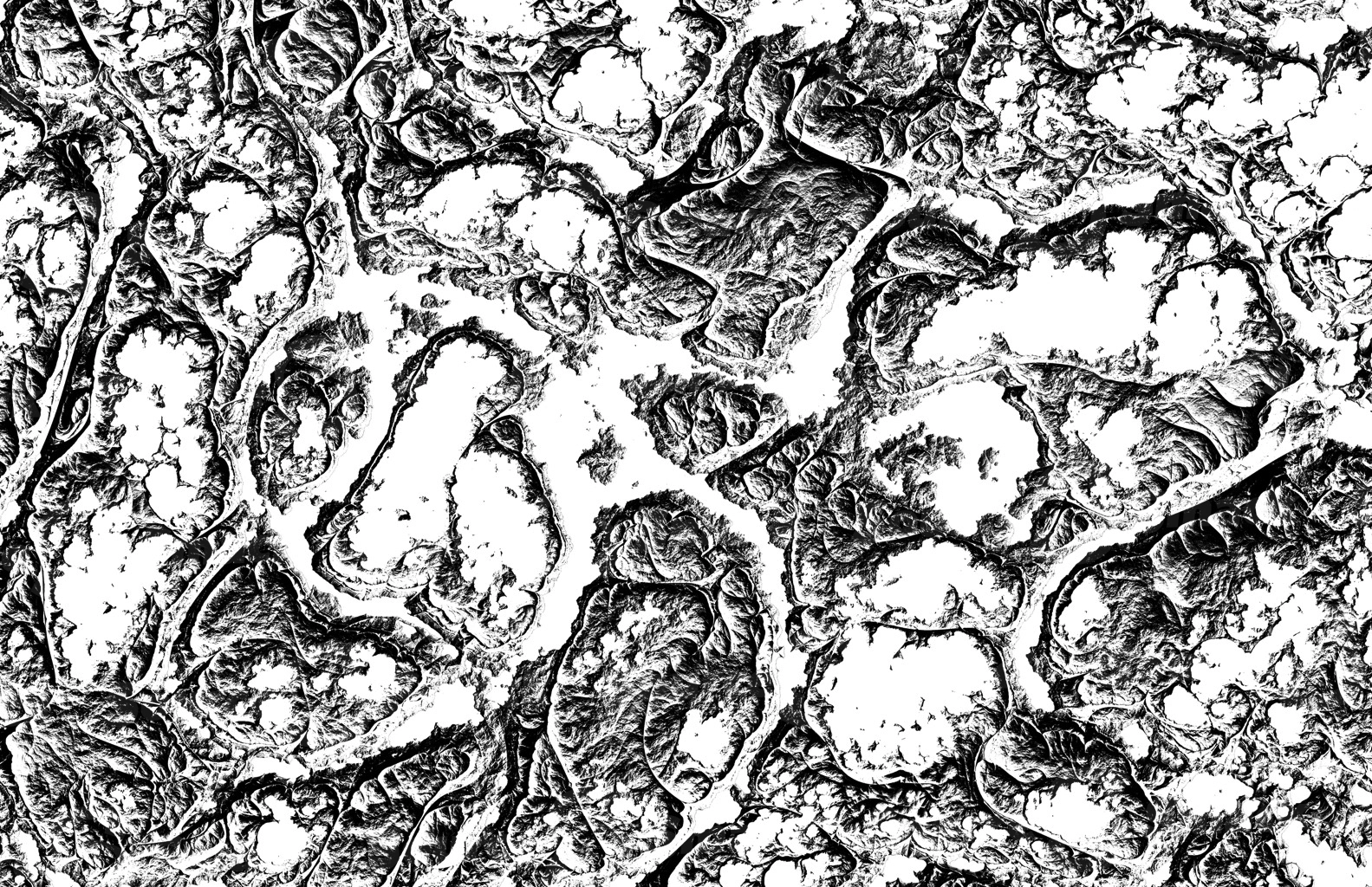 A grainy creepy organic texture as a overlay template