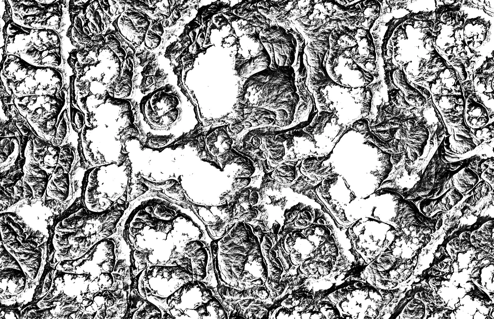 A grainy creepy organic texture as a overlay template