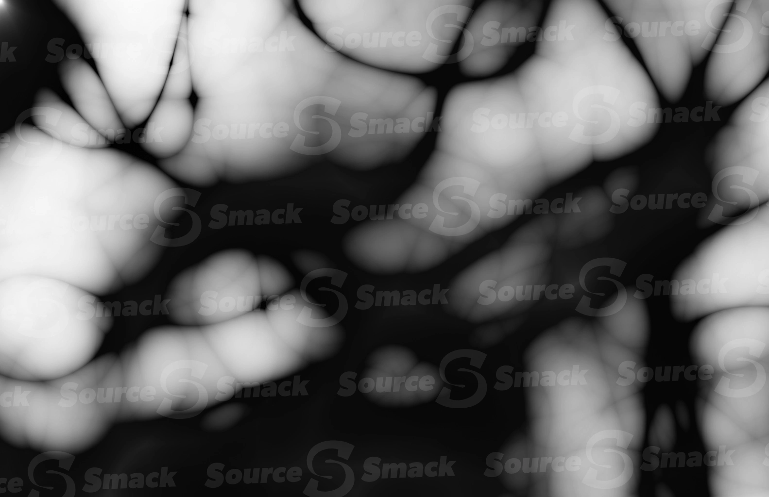 An overly smooth web-like tissue of porous slime as a overlay template