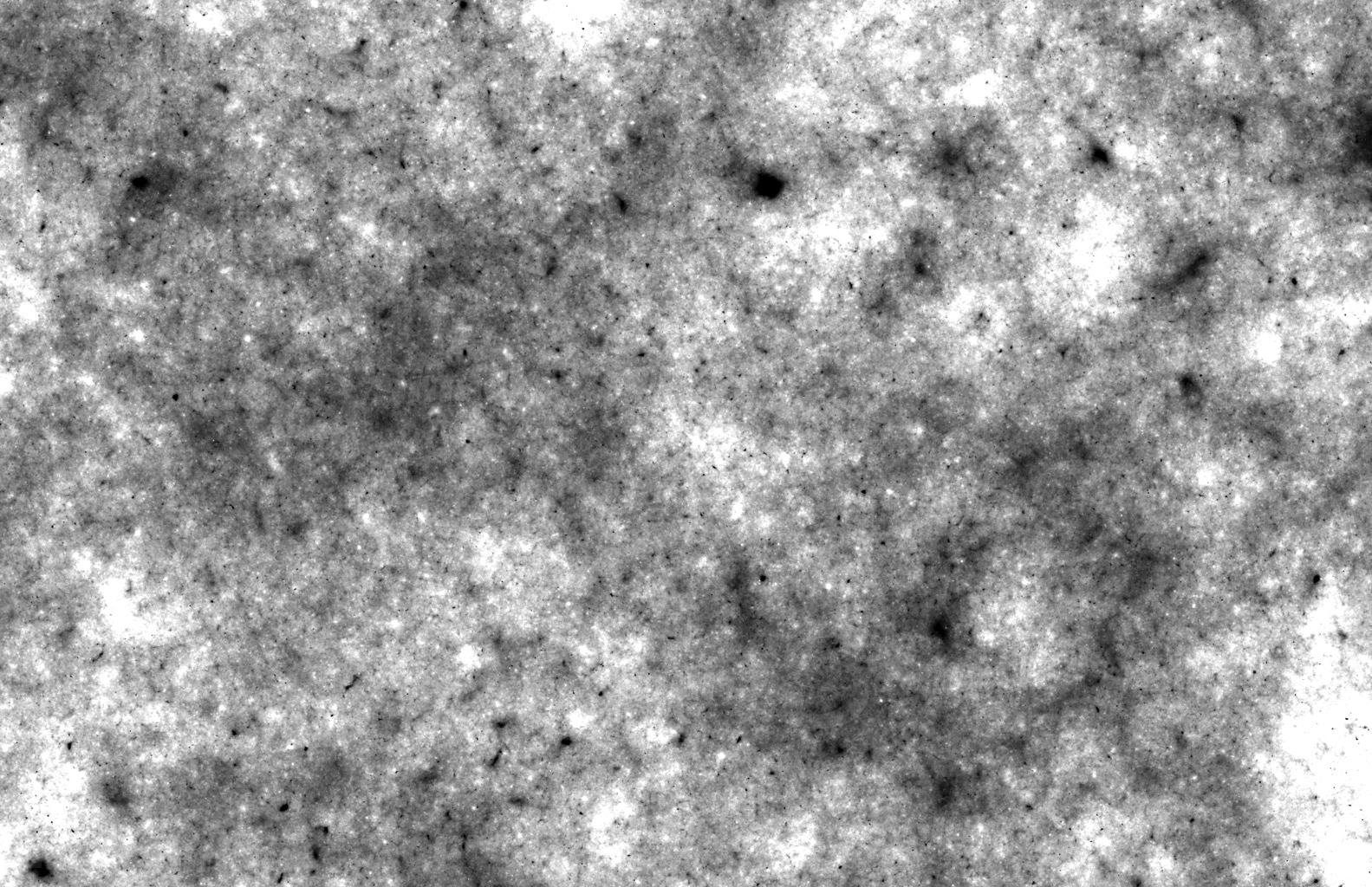 A abstract noise texture as a overlay template