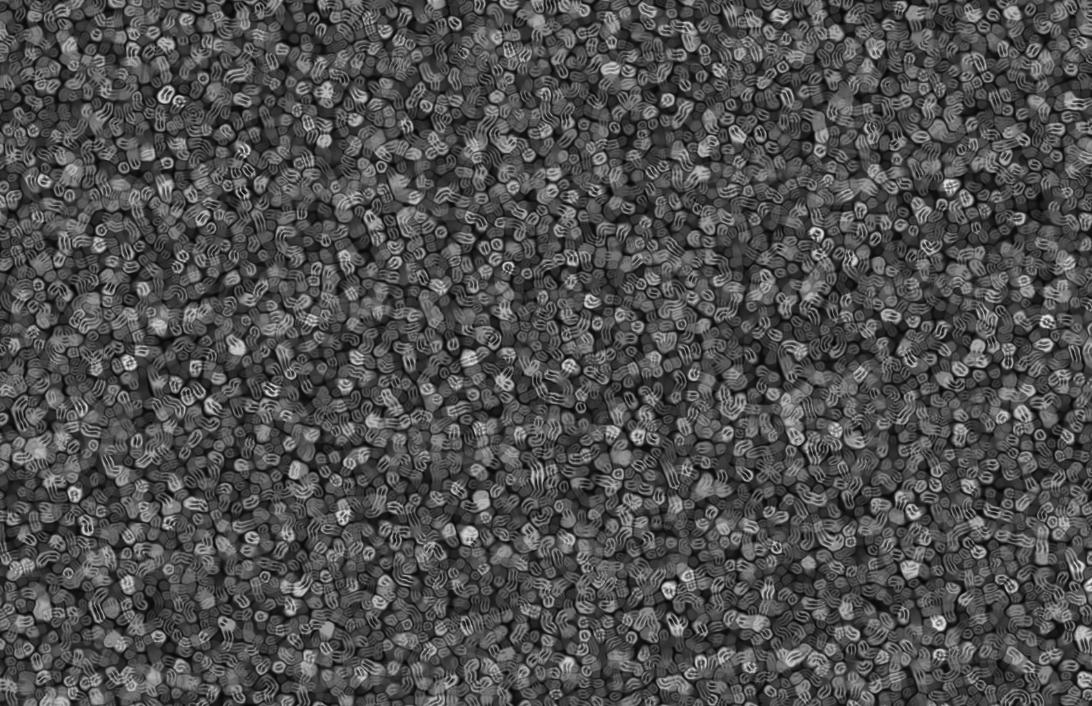 Microscopic cellular organisms clustered together as a overlay template