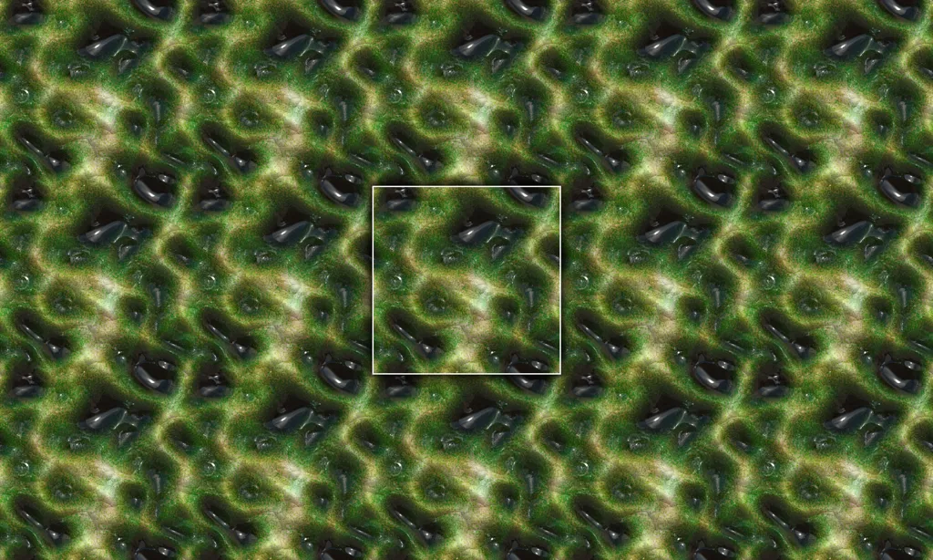 Alien creature slippery skin texture