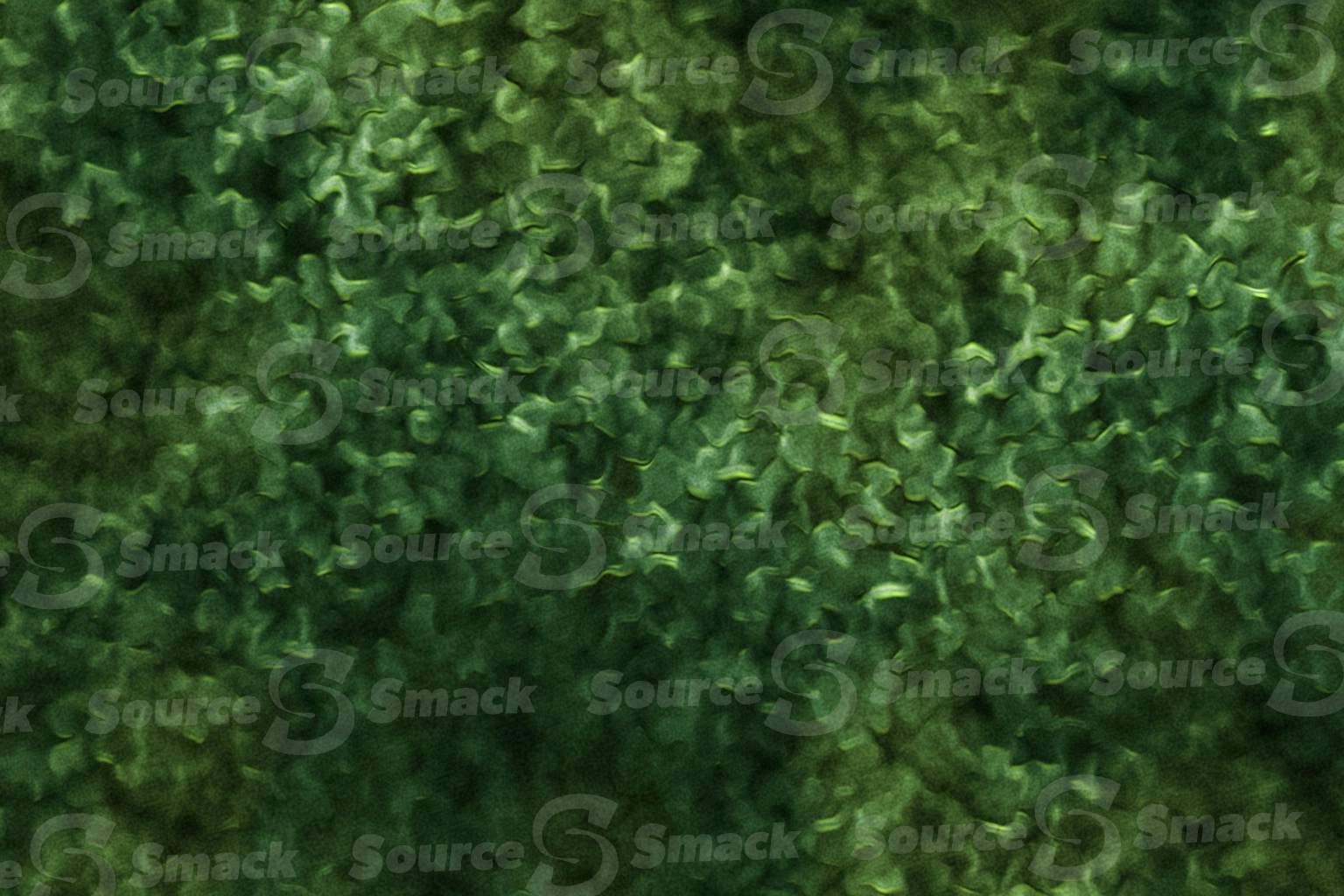 Green weeds twirled and twisted