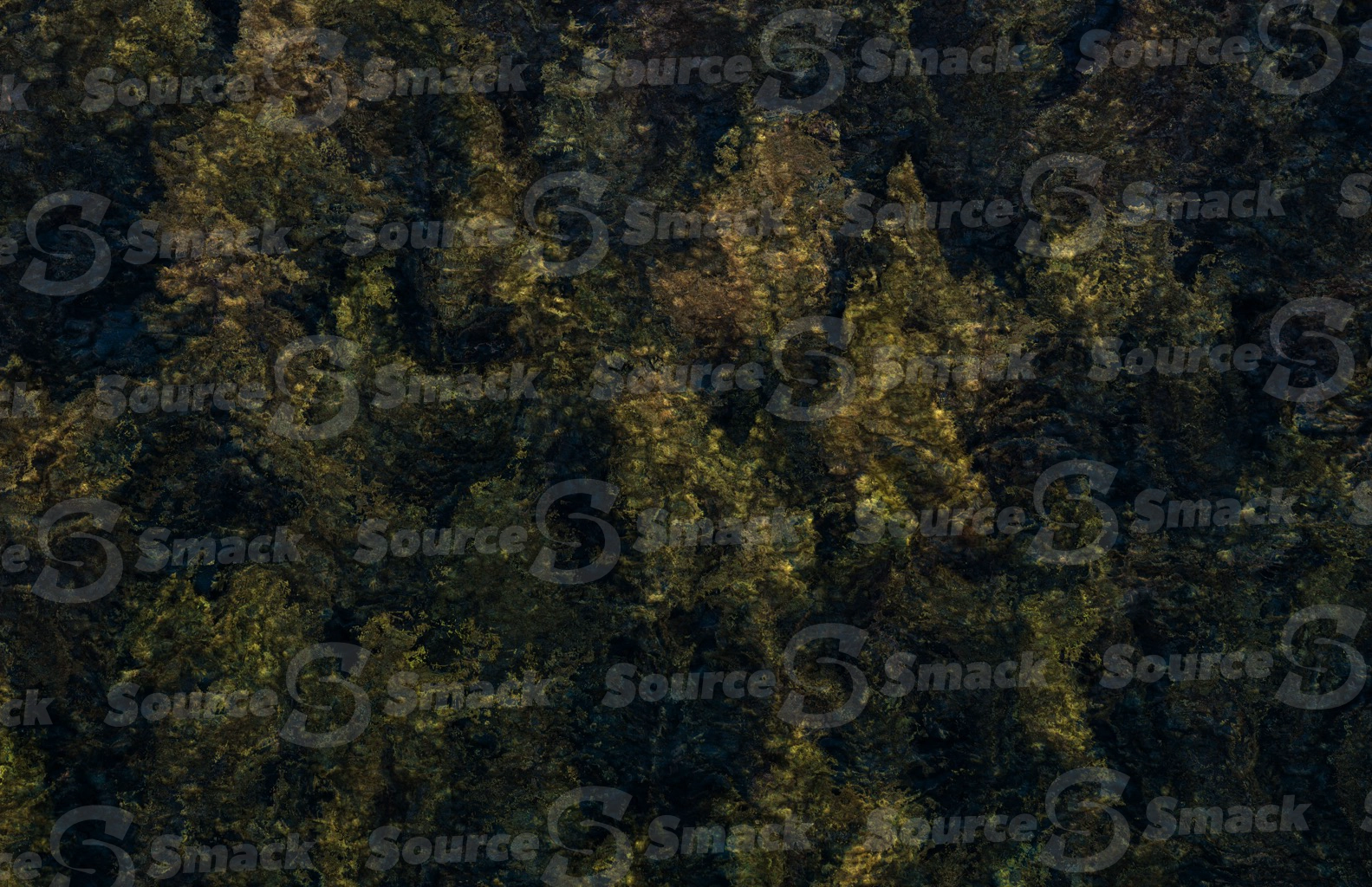 Forest cave mold texture