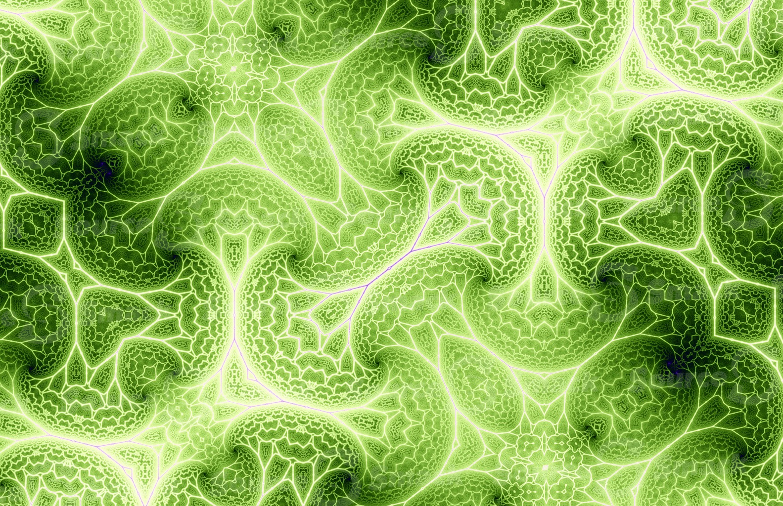 Colorful complex abstract mandelbrot fractal background