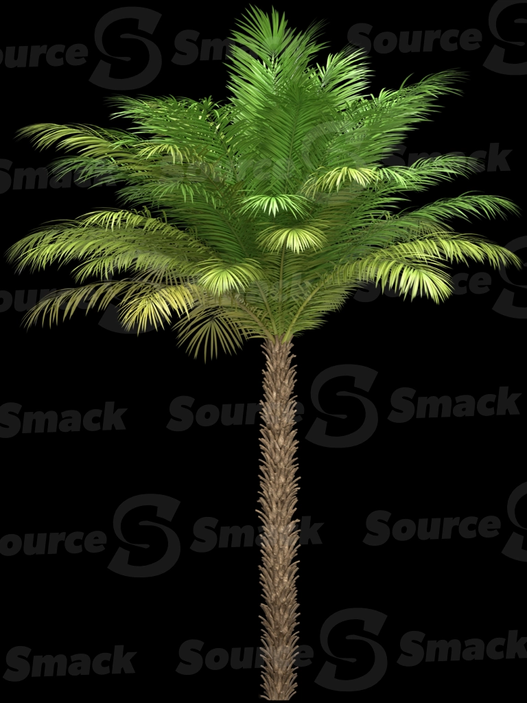 A 3D rendered and isolated date palm tree