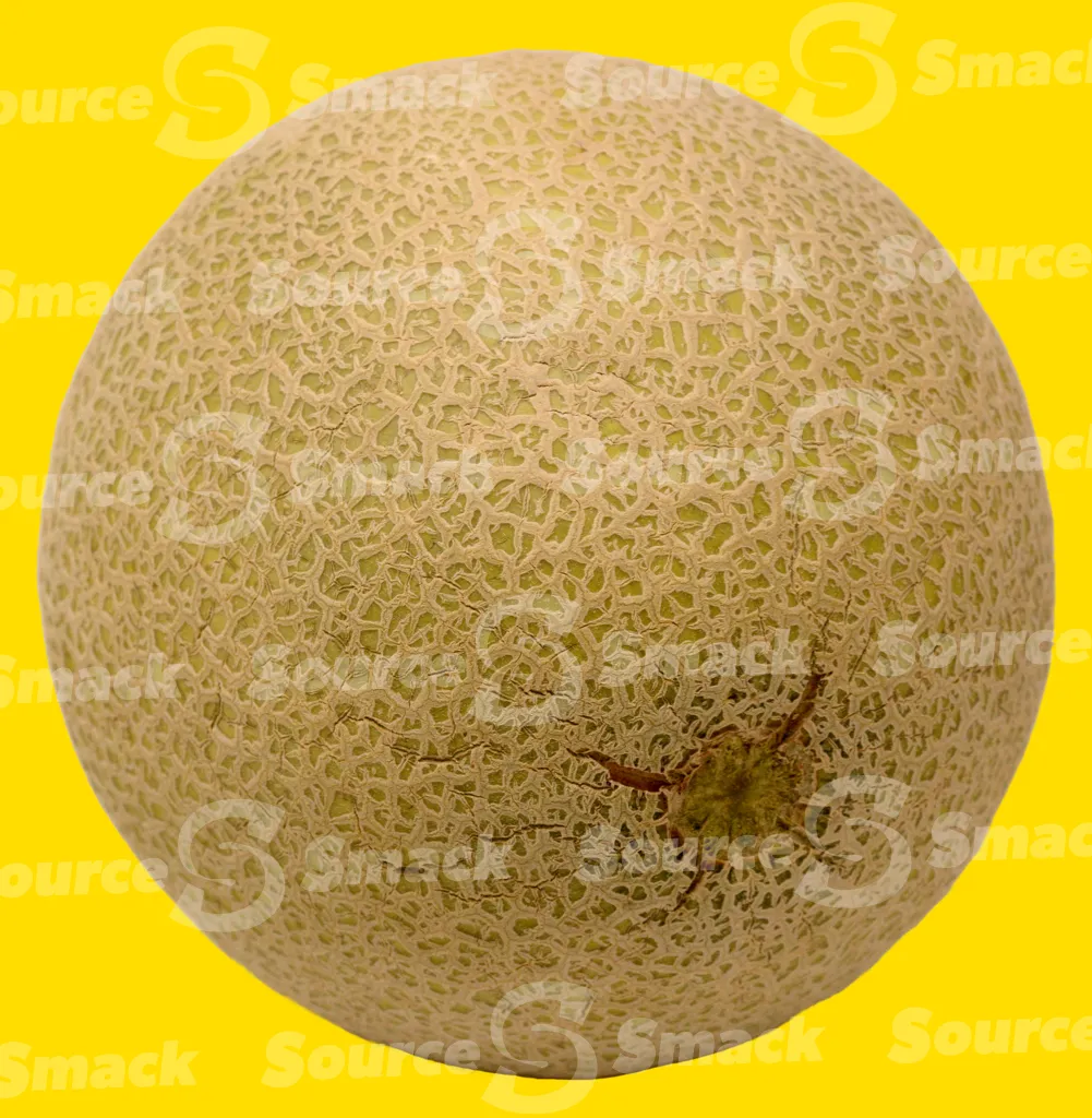 A whole cantaloupe clipped as a transparent image
