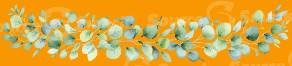 A watercolor painting of a eucalyptus branch and leaves clipped as a transparent image