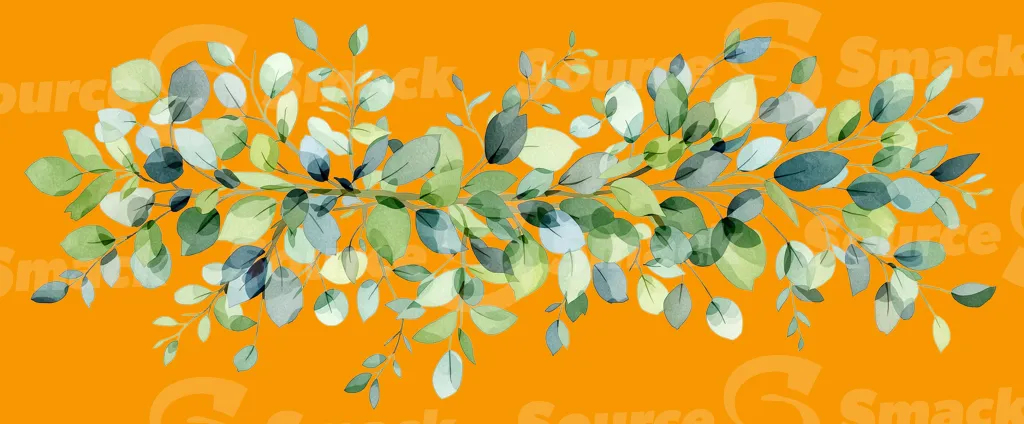 A watercolor painting of a eucalyptus branch and leaves clipped as a transparent image