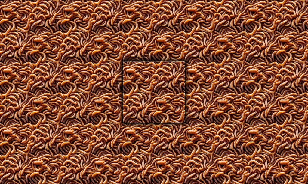 A layer of maggots as a seamless tile