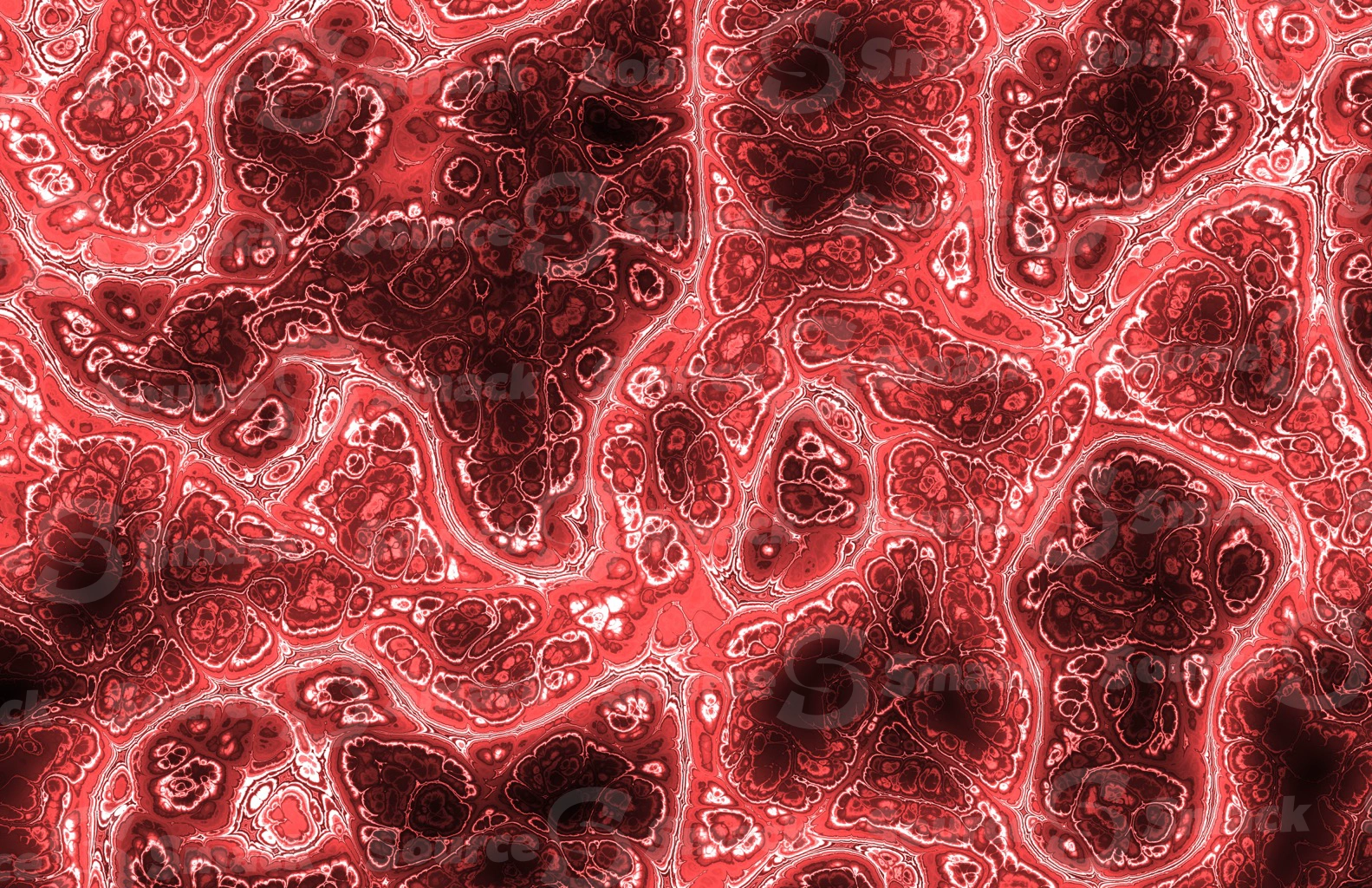 Mandelbrot effect of colorful medical tissue