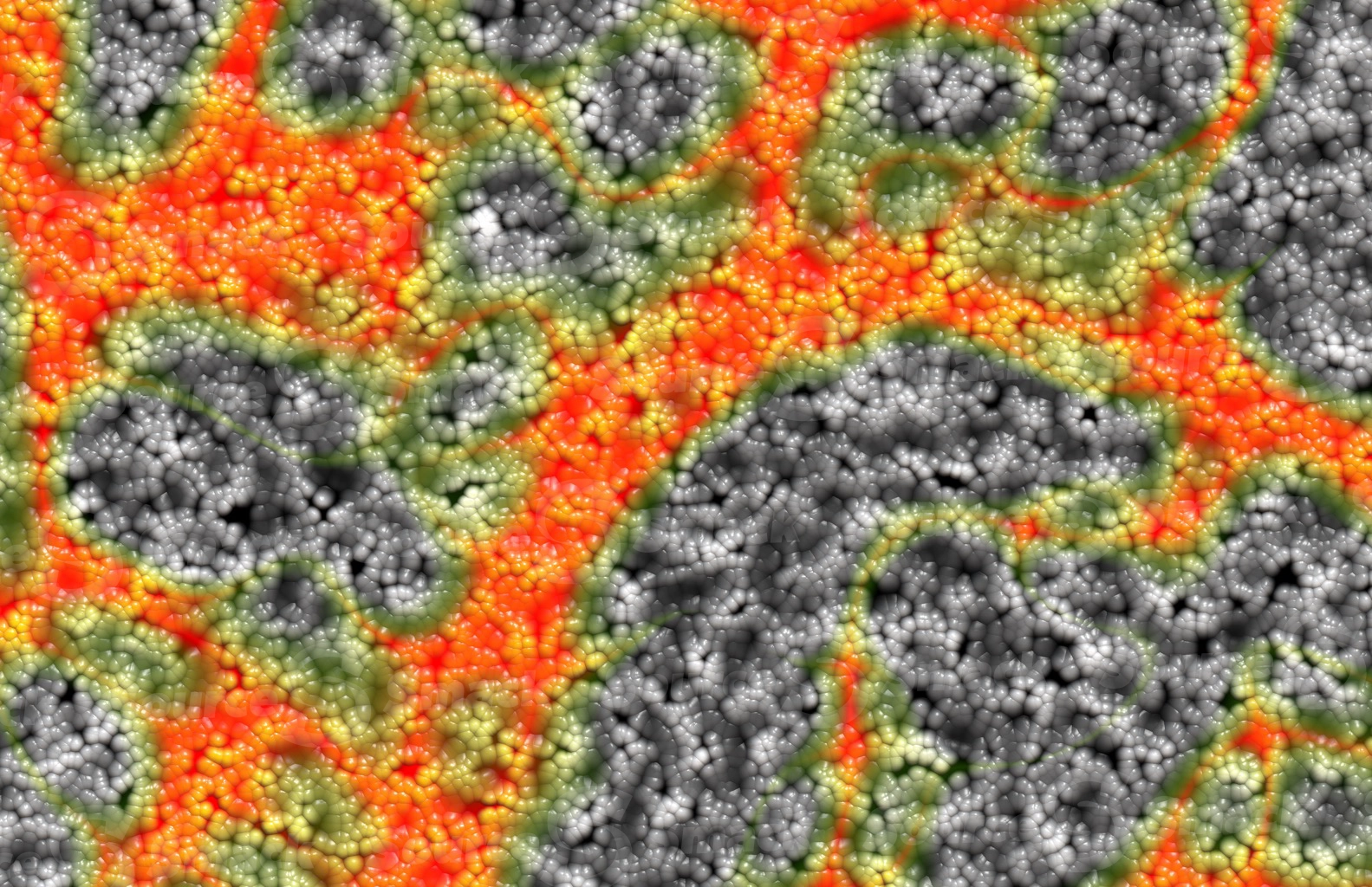 Egg clusters with a colored vein