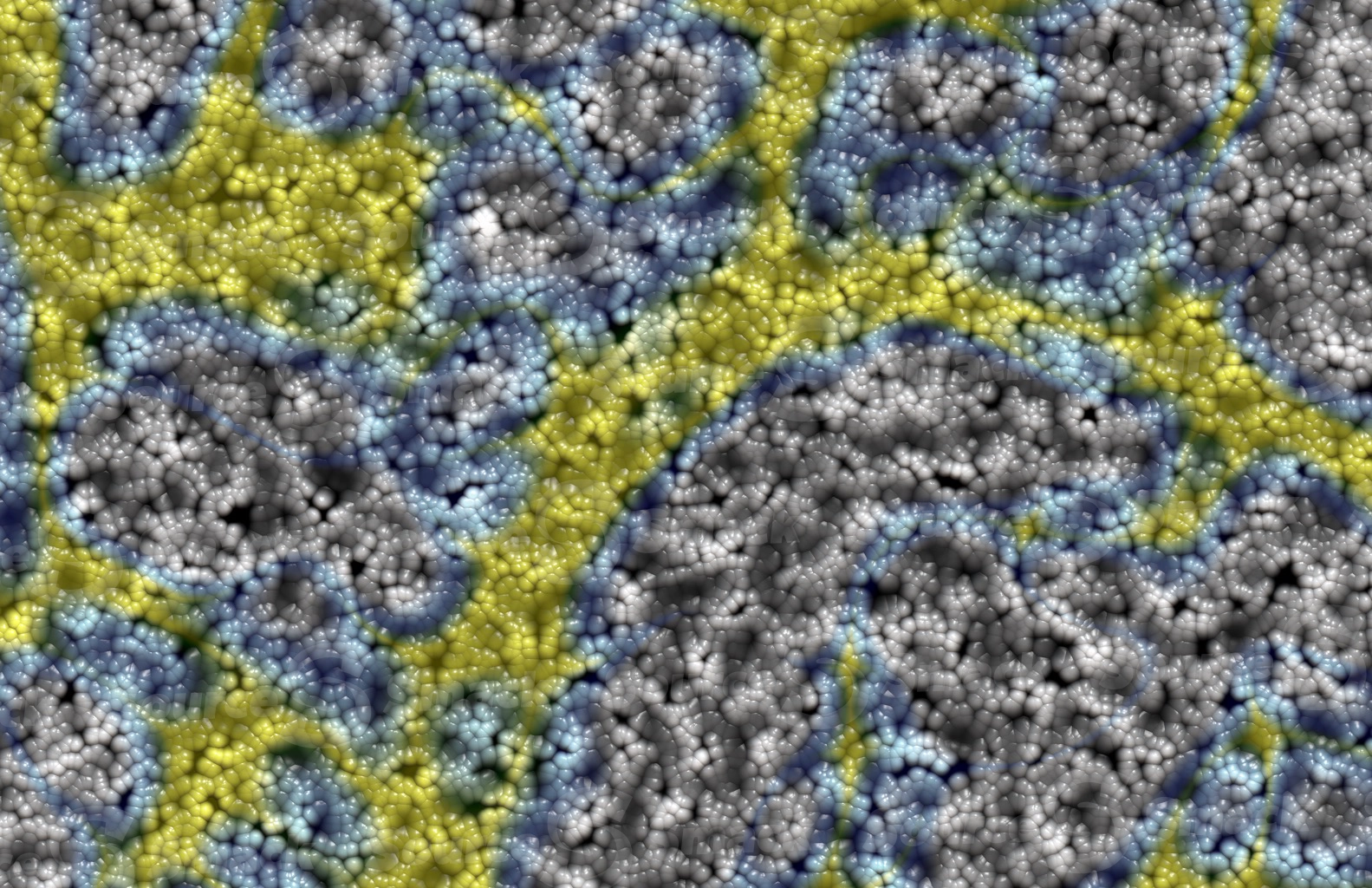 Egg clusters with a colored vein