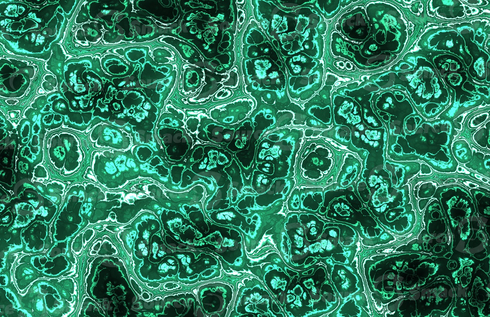 Mandelbrot effect of colorful medical tissue