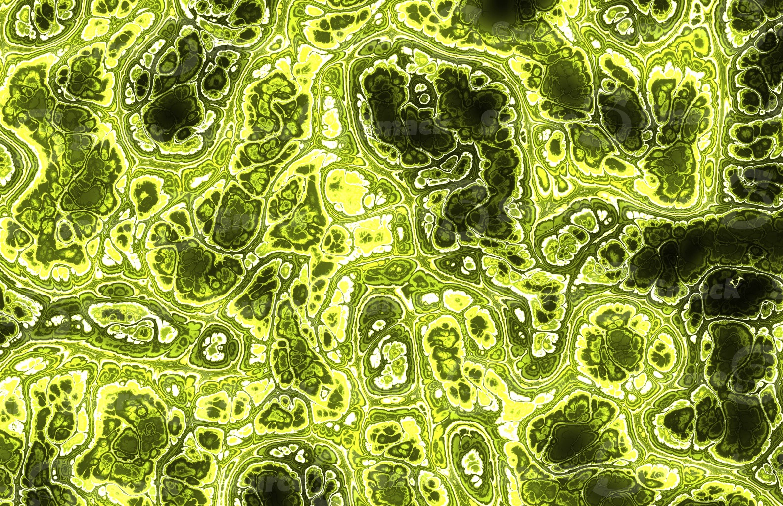 Mandelbrot effect of colorful medical tissue