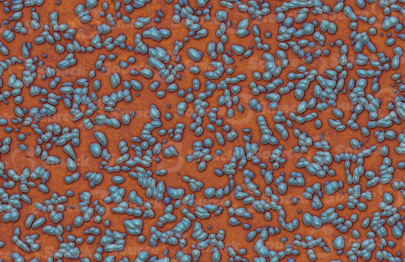 Medical pilled bacteria on petri dish culture
