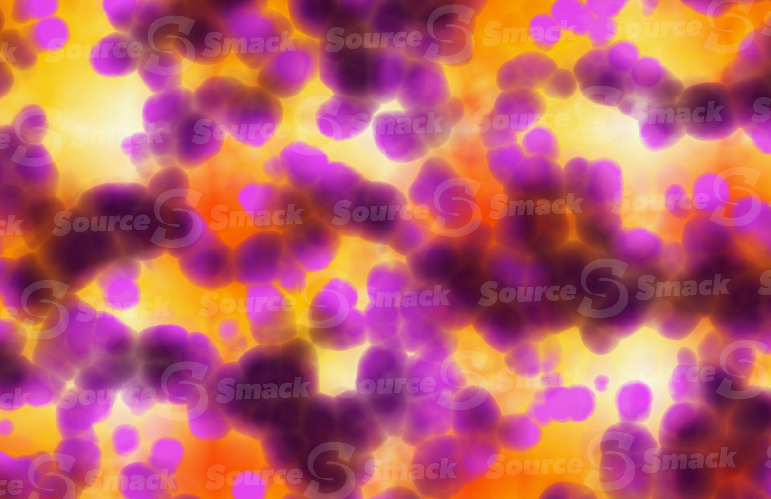 Disease bacteria like cluster