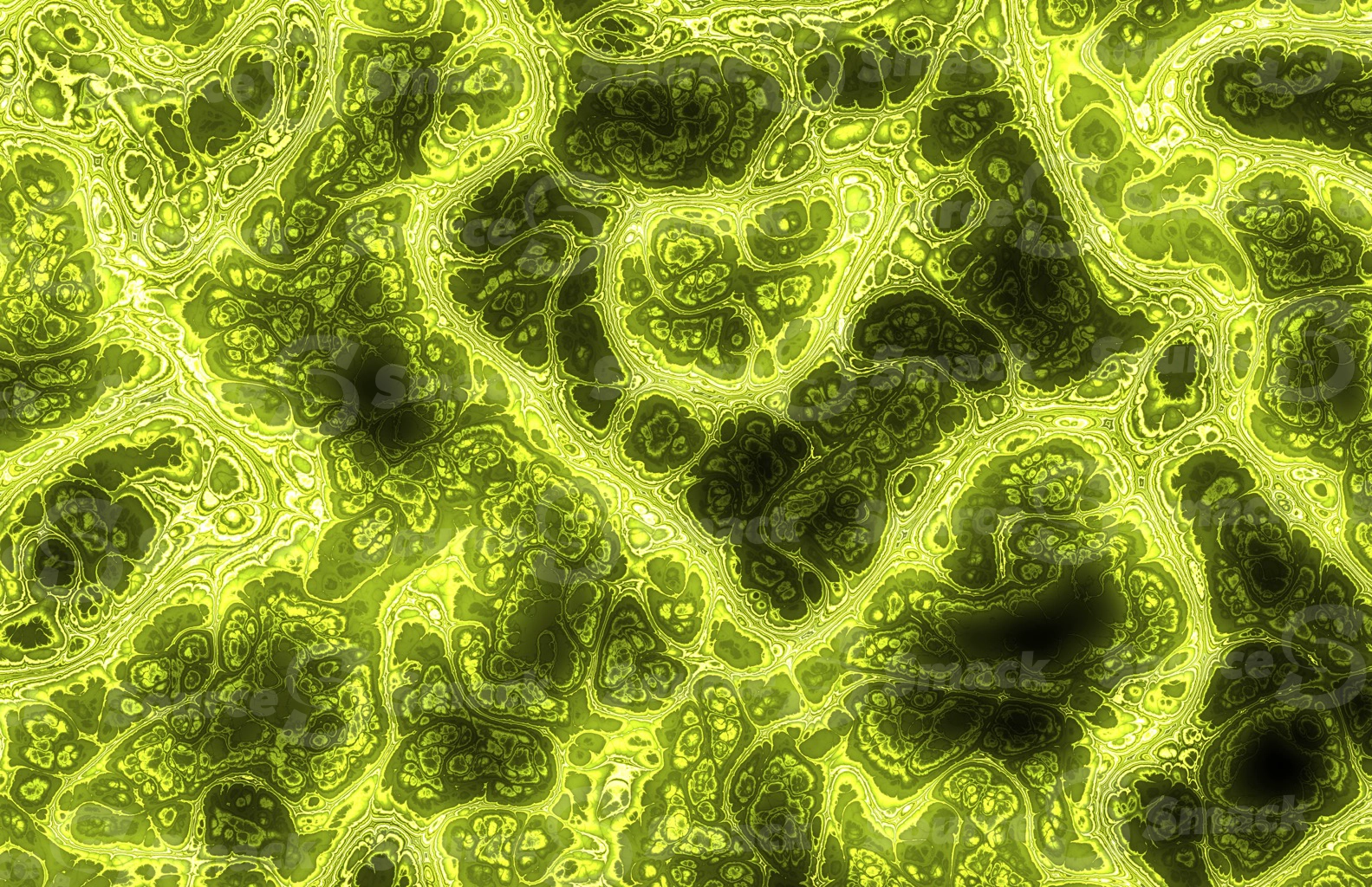 Mandelbrot effect of colorful medical tissue