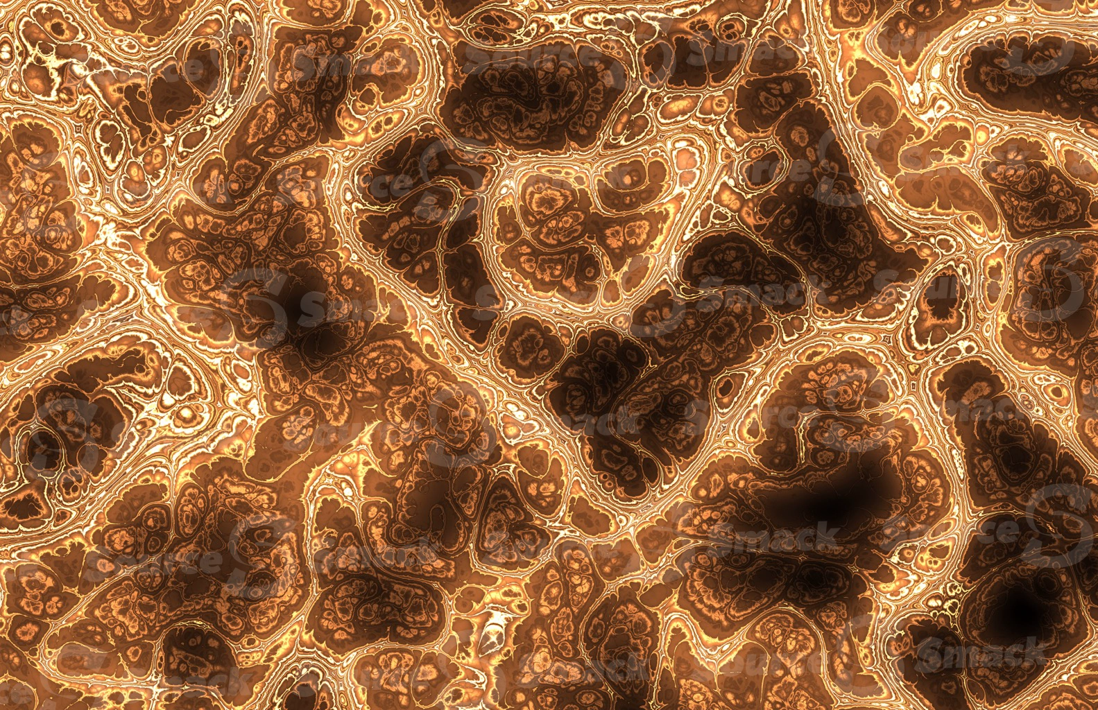 Mandelbrot effect of colorful medical tissue