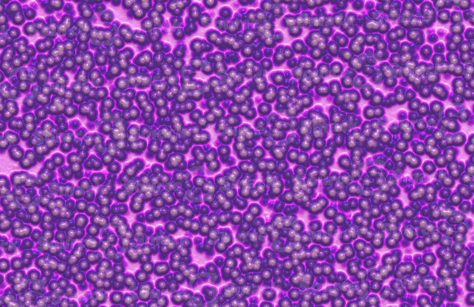 Colorful bacteria soup