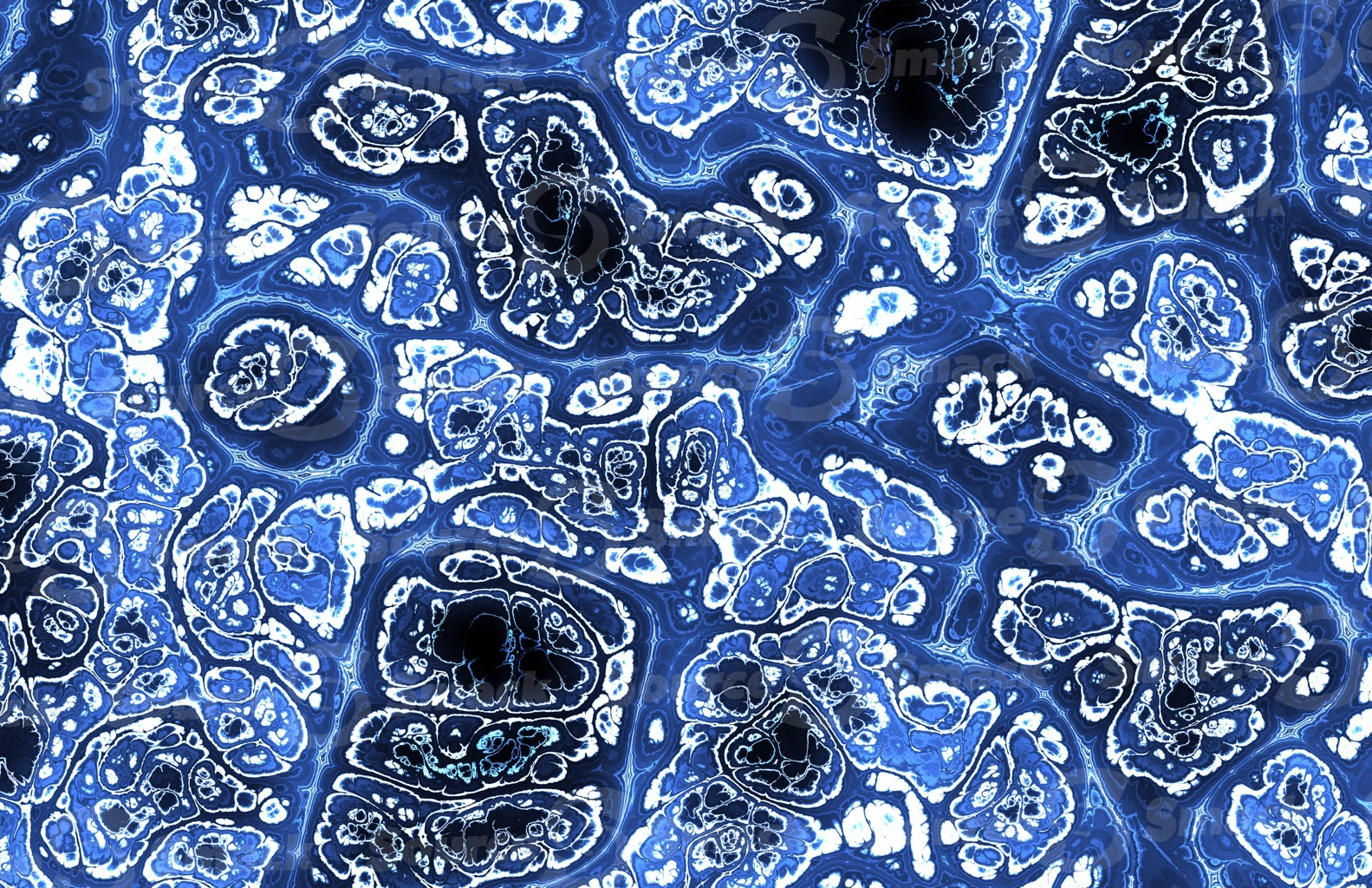 Mandelbrot effect of colorful medical tissue