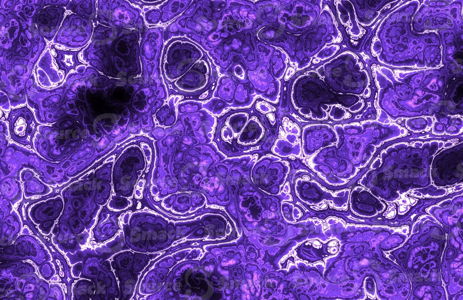 Mandelbrot effect of colorful medical tissue