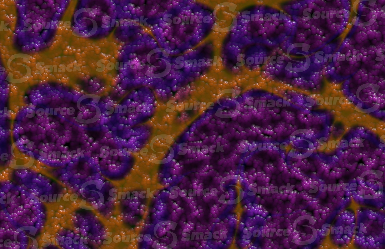 Egg clusters with a colored vein