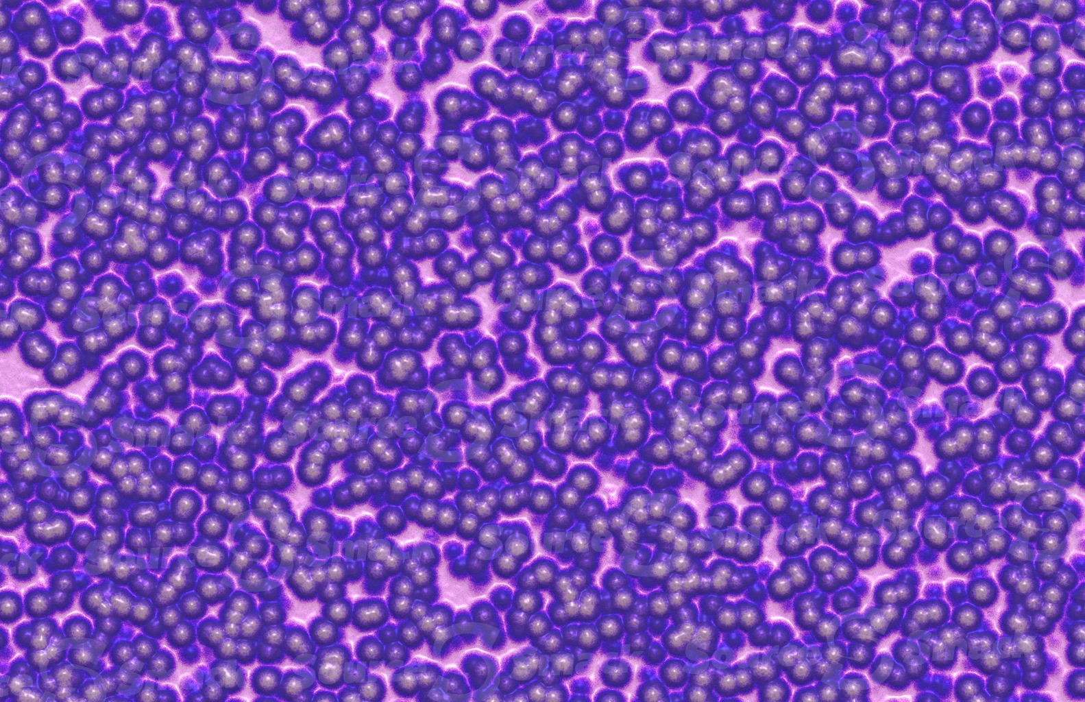 Colorful bacteria soup