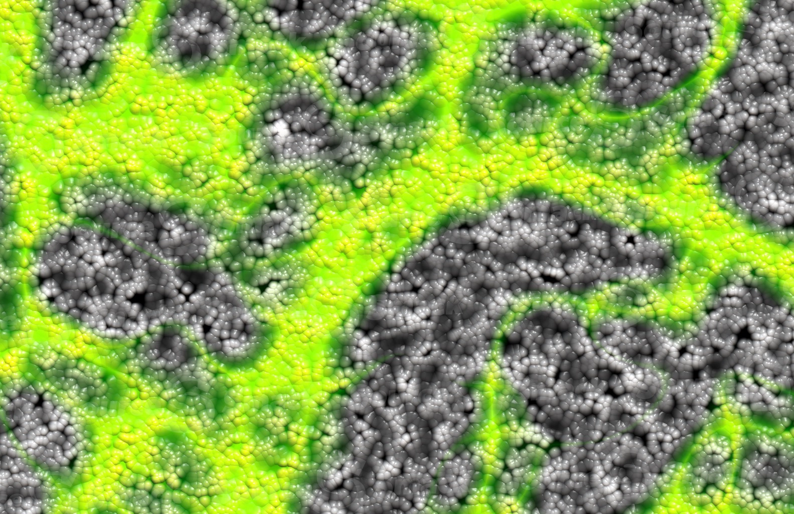Egg clusters with a colored vein