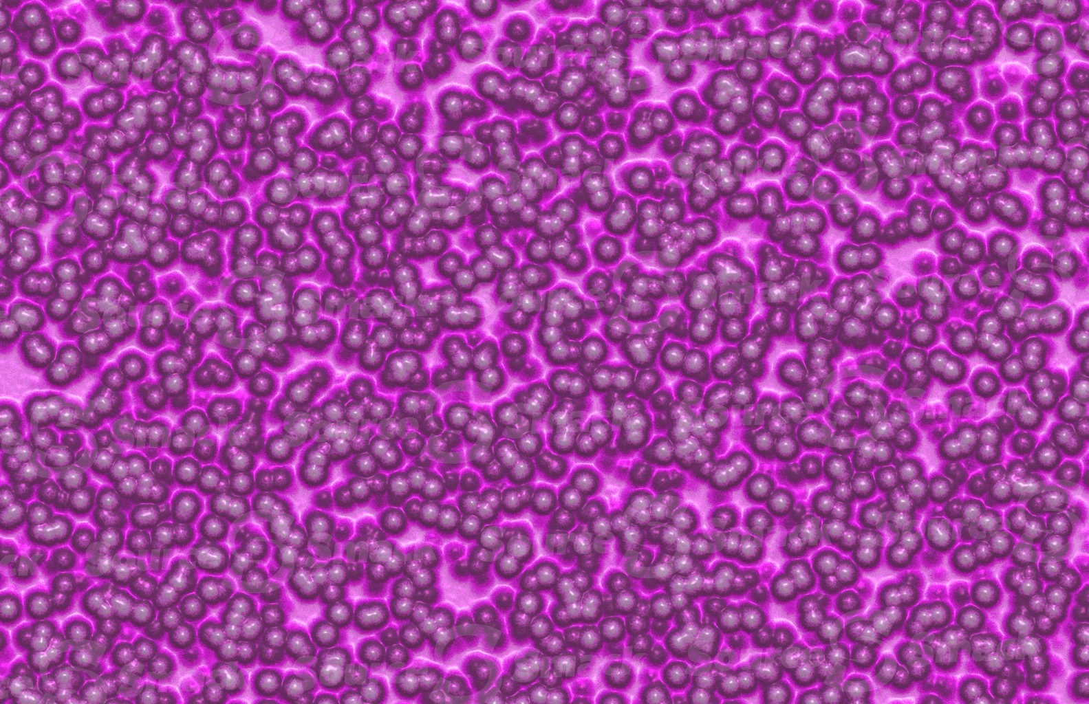 Colorful bacteria soup