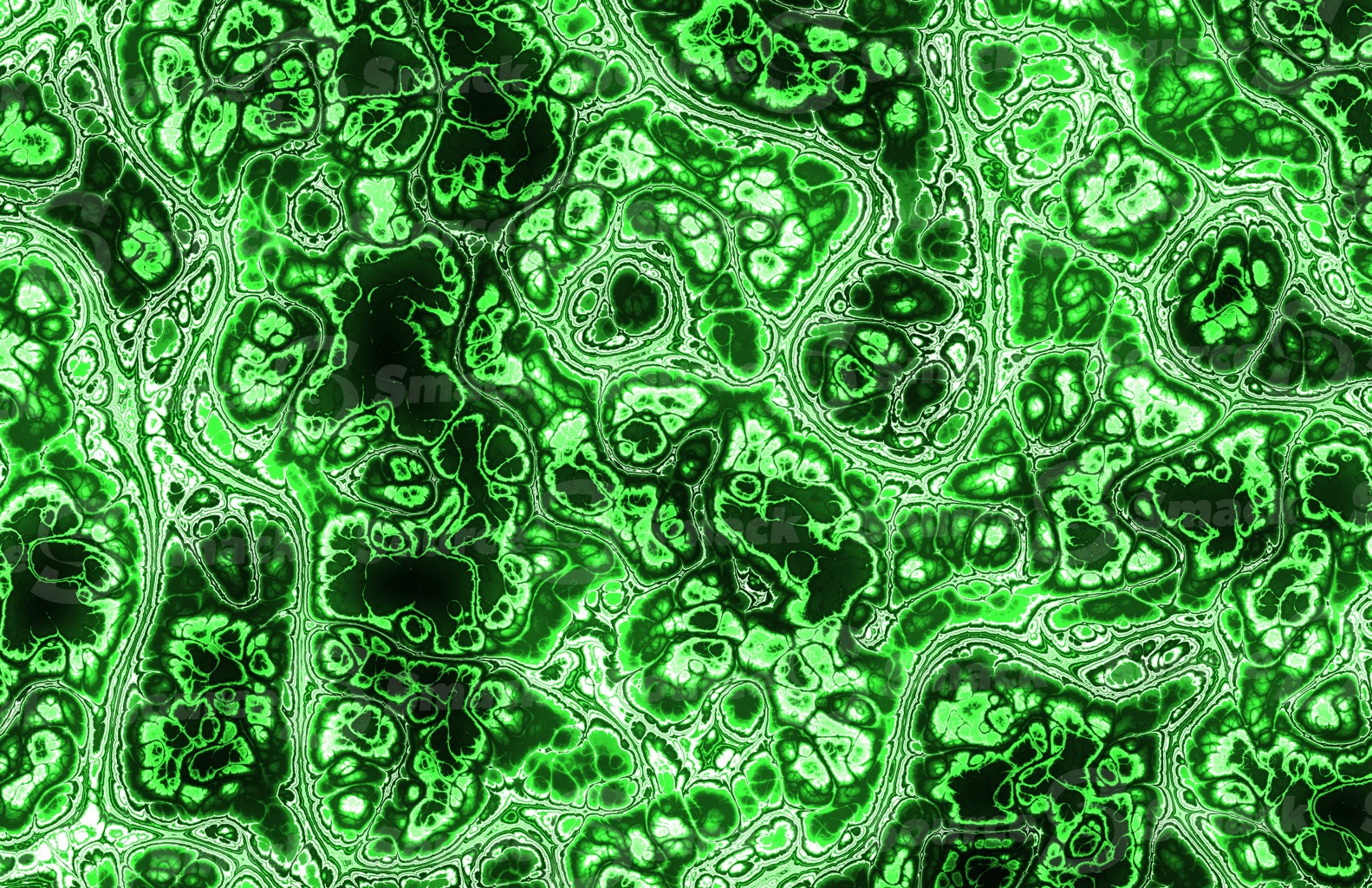 Mandelbrot effect of colorful medical tissue