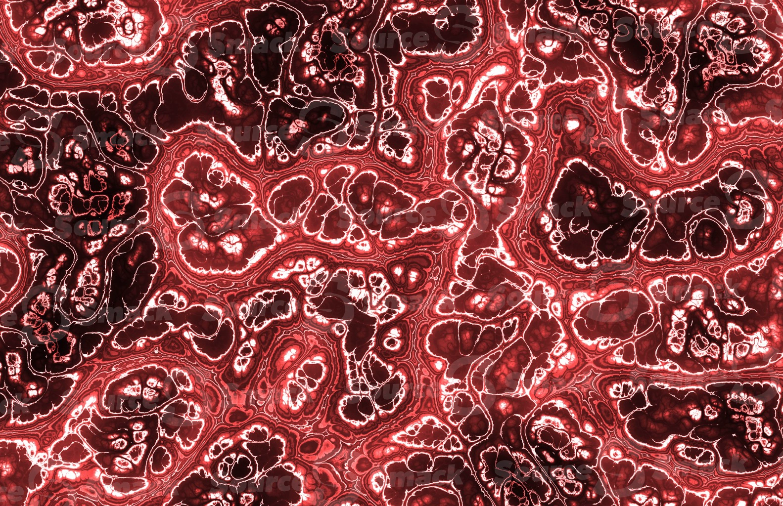 Mandelbrot effect of colorful medical tissue