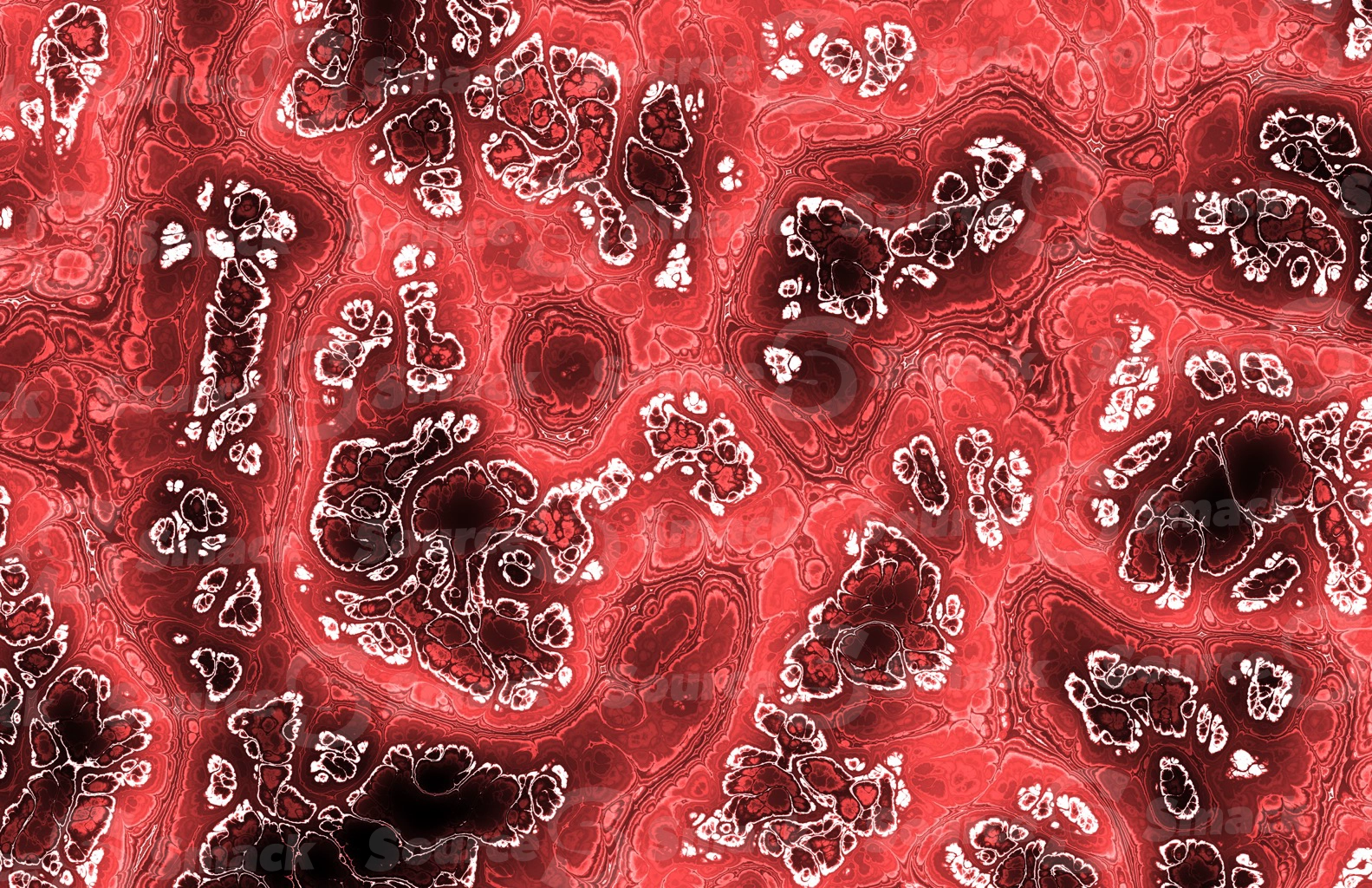 Mandelbrot effect of colorful medical tissue