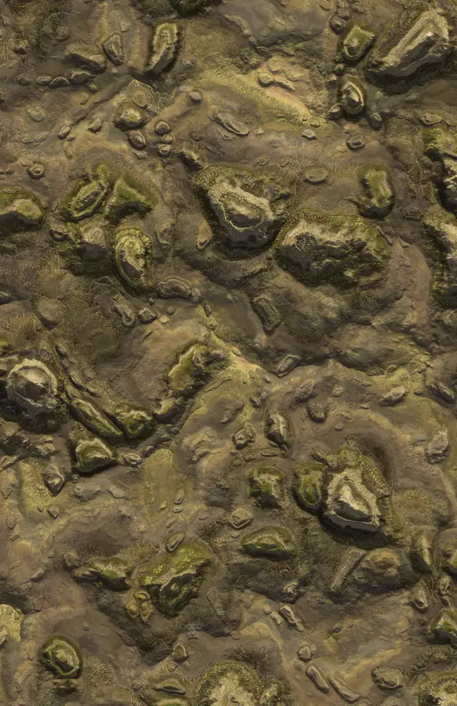 A vertical top view of a random land form