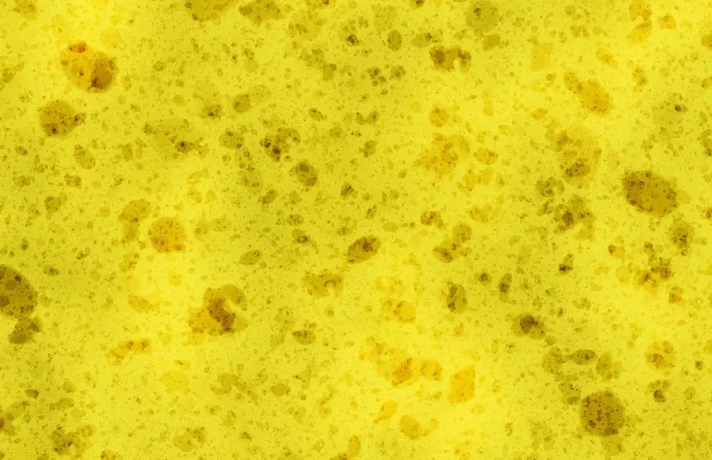 Closeup of a sponge texture with a bit of dirt and grime