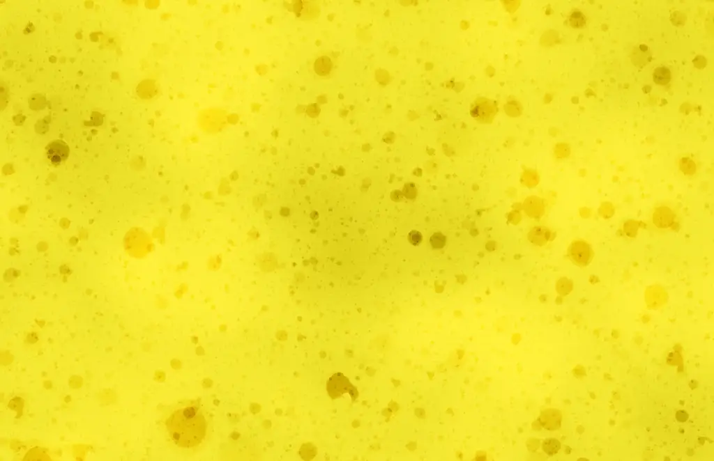 Closeup of a sponge texture with a bit of dirt and grime