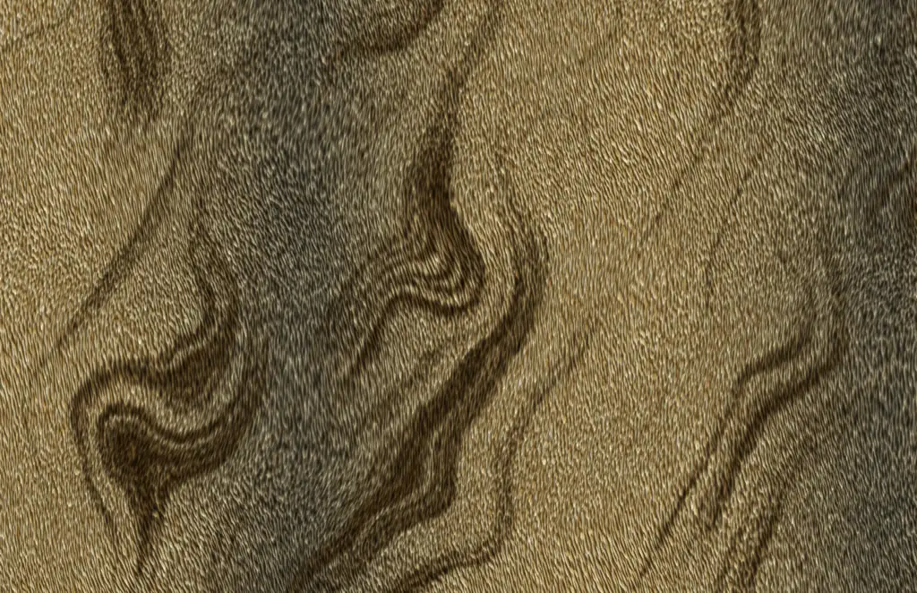A flattened out rendering of an animal skin texture