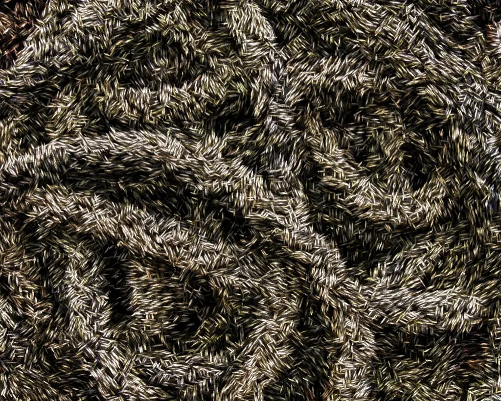 Brown riced vines background